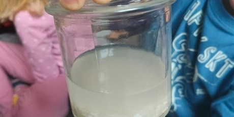 Powiększ grafikę: tydzien-eksperymentow-w-bursztynowym-domku-projekt-edukacyjny-maly-badacz-i-odkrywca-651451.jpg