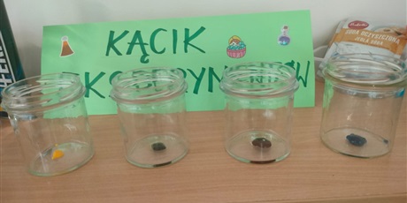 Powiększ grafikę: tydzien-eksperymentow-w-bursztynowym-domku-projekt-edukacyjny-maly-badacz-i-odkrywca-651452.jpg