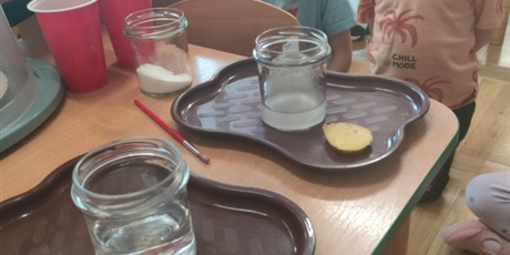 Powiększ grafikę: tydzien-eksperymentow-w-bursztynowym-domku-projekt-edukacyjny-maly-badacz-i-odkrywca-651454.jpg