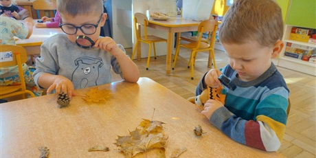 Powiększ grafikę: tydzien-eksperymentow-w-bursztynowym-domku-projekt-edukacyjny-maly-badacz-i-odkrywca-651498.jpg