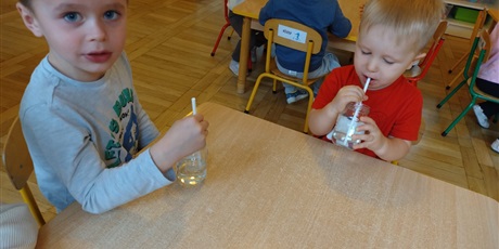 Powiększ grafikę: tydzien-eksperymentow-w-bursztynowym-domku-projekt-edukacyjny-maly-badacz-i-odkrywca-651508.jpg