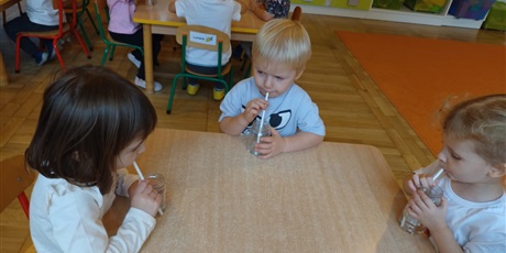 Powiększ grafikę: tydzien-eksperymentow-w-bursztynowym-domku-projekt-edukacyjny-maly-badacz-i-odkrywca-651509.jpg