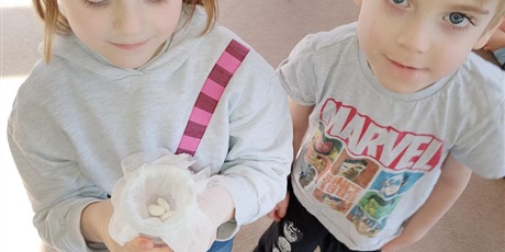 Powiększ grafikę: tydzien-eksperymentow-w-bursztynowym-domku-projekt-edukacyjny-maly-badacz-i-odkrywca-cz-ii-687823.jpg