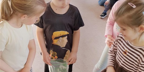 Powiększ grafikę: tydzien-eksperymentow-w-bursztynowym-domku-projekt-edukacyjny-maly-badacz-i-odkrywca-cz-ii-687828.jpg