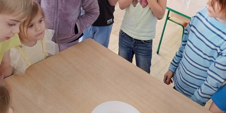 Powiększ grafikę: tydzien-eksperymentow-w-bursztynowym-domku-projekt-edukacyjny-maly-badacz-i-odkrywca-cz-ii-687830.jpg