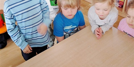 Powiększ grafikę: tydzien-eksperymentow-w-bursztynowym-domku-projekt-edukacyjny-maly-badacz-i-odkrywca-cz-ii-687833.jpg