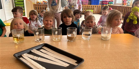 Powiększ grafikę: tydzien-eksperymentow-w-bursztynowym-domku-projekt-edukacyjny-maly-badacz-i-odkrywca-cz-ii-687835.jpg