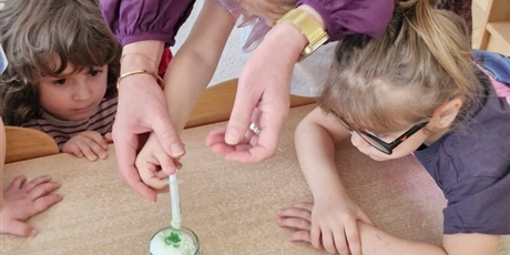 Powiększ grafikę: tydzien-eksperymentow-w-bursztynowym-domku-projekt-edukacyjny-maly-badacz-i-odkrywca-cz-ii-687850.jpg