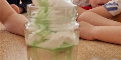 Powiększ grafikę: tydzien-eksperymentow-w-bursztynowym-domku-projekt-edukacyjny-maly-badacz-i-odkrywca-cz-ii-687854.jpg