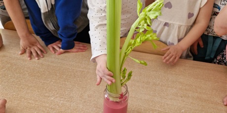 Powiększ grafikę: tydzien-eksperymentow-w-bursztynowym-domku-projekt-edukacyjny-maly-badacz-i-odkrywca-cz-ii-687855.jpg