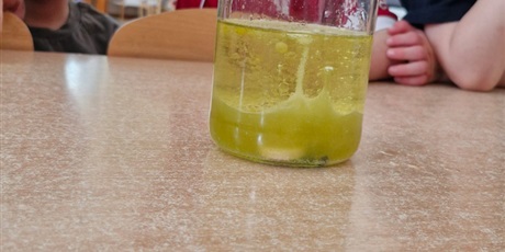 Powiększ grafikę: tydzien-eksperymentow-w-bursztynowym-domku-projekt-edukacyjny-maly-badacz-i-odkrywca-cz-ii-687858.jpg