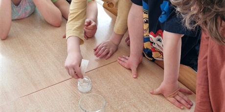 Powiększ grafikę: tydzien-eksperymentow-w-bursztynowym-domku-projekt-edukacyjny-maly-badacz-i-odkrywca-cz-ii-687859.jpg