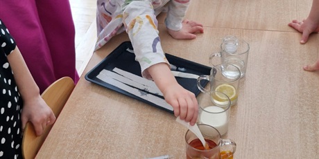 Powiększ grafikę: tydzien-eksperymentow-w-bursztynowym-domku-projekt-edukacyjny-maly-badacz-i-odkrywca-cz-ii-687860.jpg