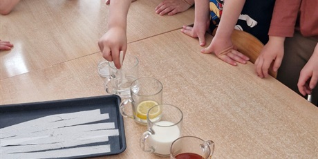 Powiększ grafikę: tydzien-eksperymentow-w-bursztynowym-domku-projekt-edukacyjny-maly-badacz-i-odkrywca-cz-ii-687861.jpg