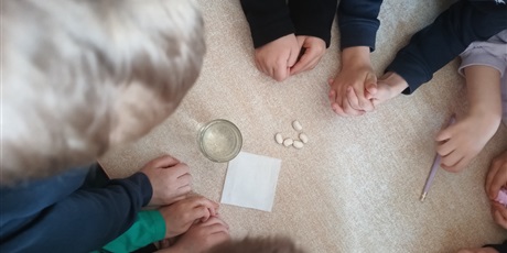 Powiększ grafikę: tydzien-eksperymentow-w-bursztynowym-domku-projekt-edukacyjny-maly-badacz-i-odkrywca-cz-ii-687868.jpg