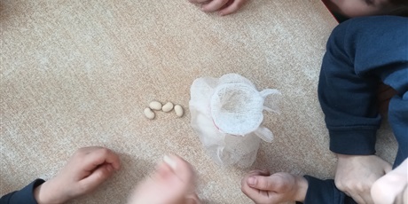 Powiększ grafikę: tydzien-eksperymentow-w-bursztynowym-domku-projekt-edukacyjny-maly-badacz-i-odkrywca-cz-ii-687869.jpg