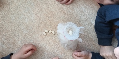 Powiększ grafikę: tydzien-eksperymentow-w-bursztynowym-domku-projekt-edukacyjny-maly-badacz-i-odkrywca-cz-ii-687870.jpg