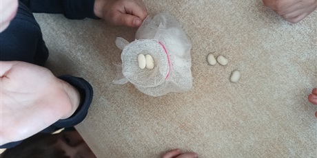 Powiększ grafikę: tydzien-eksperymentow-w-bursztynowym-domku-projekt-edukacyjny-maly-badacz-i-odkrywca-cz-ii-687871.jpg