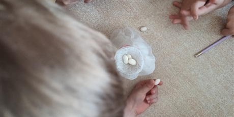 Powiększ grafikę: tydzien-eksperymentow-w-bursztynowym-domku-projekt-edukacyjny-maly-badacz-i-odkrywca-cz-ii-687873.jpg