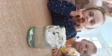 Powiększ grafikę: tydzien-eksperymentow-w-bursztynowym-domku-projekt-edukacyjny-maly-badacz-i-odkrywca-cz-ii-687886.jpg