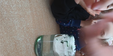 Powiększ grafikę: tydzien-eksperymentow-w-bursztynowym-domku-projekt-edukacyjny-maly-badacz-i-odkrywca-cz-ii-687887.jpg