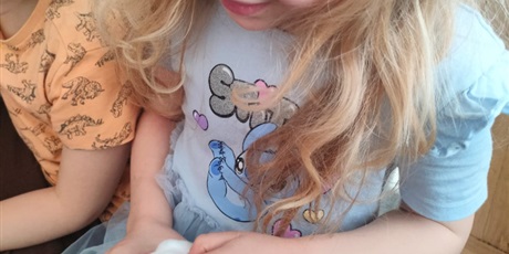 Powiększ grafikę: tydzien-eksperymentow-w-bursztynowym-domku-projekt-edukacyjny-maly-badacz-i-odkrywca-cz-ii-687890.jpg