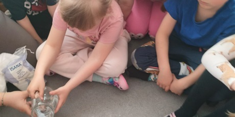 Powiększ grafikę: tydzien-eksperymentow-w-bursztynowym-domku-projekt-edukacyjny-maly-badacz-i-odkrywca-cz-ii-687891.jpg