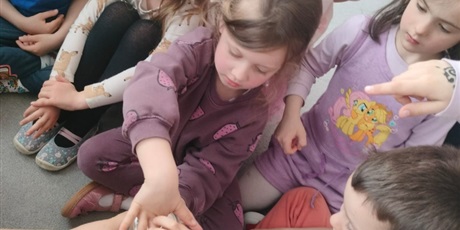 Powiększ grafikę: tydzien-eksperymentow-w-bursztynowym-domku-projekt-edukacyjny-maly-badacz-i-odkrywca-cz-ii-687892.jpg