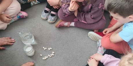 Powiększ grafikę: tydzien-eksperymentow-w-bursztynowym-domku-projekt-edukacyjny-maly-badacz-i-odkrywca-cz-ii-687893.jpg