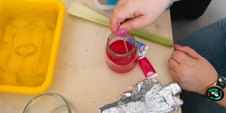 Powiększ grafikę: tydzien-eksperymentow-w-bursztynowym-domku-projekt-edukacyjny-maly-badacz-i-odkrywca-cz-ii-687908.jpg