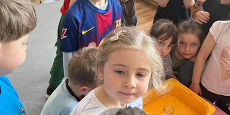 Powiększ grafikę: tydzien-eksperymentow-w-bursztynowym-domku-projekt-edukacyjny-maly-badacz-i-odkrywca-cz-ii-687914.jpg