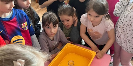 Powiększ grafikę: tydzien-eksperymentow-w-bursztynowym-domku-projekt-edukacyjny-maly-badacz-i-odkrywca-cz-ii-687917.jpg