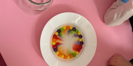 Powiększ grafikę: tydzien-eksperymentow-w-bursztynowym-domku-projekt-edukacyjny-maly-badacz-i-odkrywca-cz-ii-687920.jpg