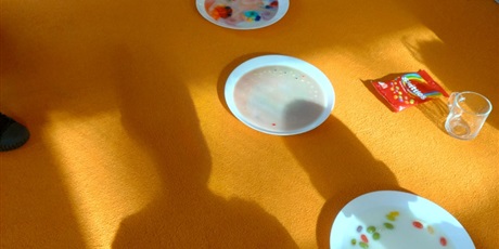 Powiększ grafikę: tydzien-eksperymentow-w-bursztynowym-domku-projekt-edukacyjny-maly-badacz-i-odkrywca-cz-ii-687922.jpg