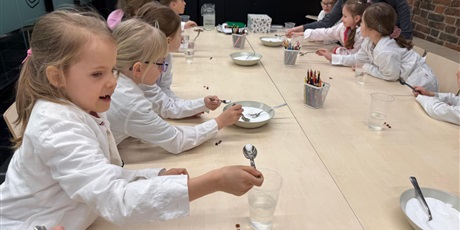 Powiększ grafikę: warsztaty-amber-lab-w-muzeum-bursztynu-grupa-vi-koniki-morskie-689626.jpg