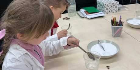 Powiększ grafikę: warsztaty-amber-lab-w-muzeum-bursztynu-grupa-vi-koniki-morskie-689627.jpg