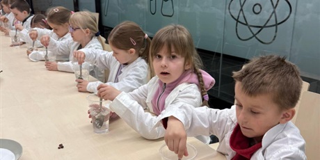 Powiększ grafikę: warsztaty-amber-lab-w-muzeum-bursztynu-grupa-vi-koniki-morskie-689630.jpg