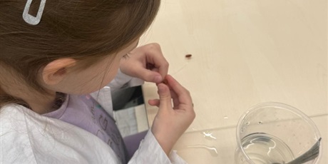 Powiększ grafikę: warsztaty-amber-lab-w-muzeum-bursztynu-grupa-vi-koniki-morskie-689632.jpg