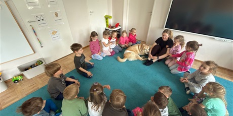 Powiększ grafikę: wizyta-mamy-lily-z-psem-rico-gr-v-marynarze-693877.jpg