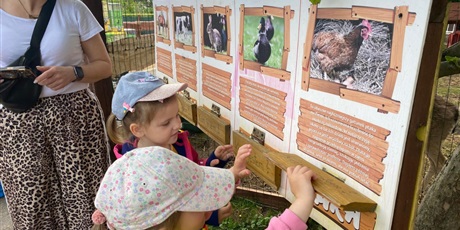 Powiększ grafikę: wycieczka-do-lemur-park-gr-i-foczki-621905.jpg