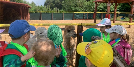 Powiększ grafikę: wycieczka-do-lemur-park-gr-v-rybki-621826.jpg