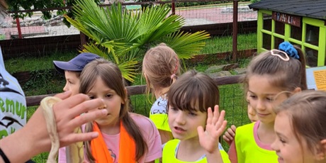 Powiększ grafikę: wycieczka-do-lemur-park-gr-vi-delfinki-621109.jpg