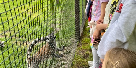 Powiększ grafikę: wycieczka-do-lemur-park-gr-viii-koniki-morskie-621127.jpg