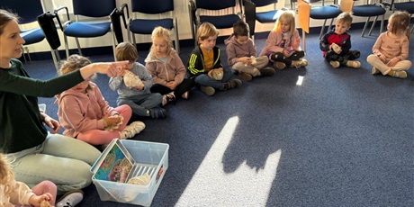 Powiększ grafikę: wycieczka-do-okm-morskie-skarby-gr-viii-muszelki-649134.jpg