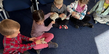 Powiększ grafikę: wycieczka-do-okm-morskie-skarby-gr-viii-muszelki-649136.jpg