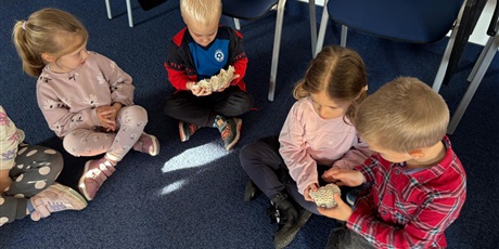 Powiększ grafikę: wycieczka-do-okm-morskie-skarby-gr-viii-muszelki-649137.jpg