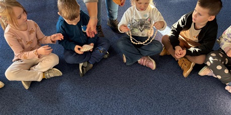 Powiększ grafikę: wycieczka-do-okm-morskie-skarby-gr-viii-muszelki-649138.jpg