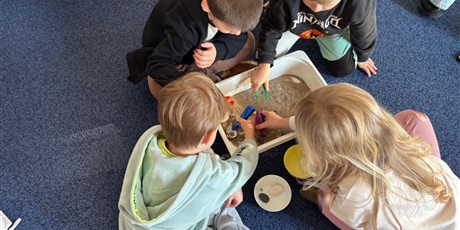 Powiększ grafikę: wycieczka-do-okm-morskie-skarby-gr-viii-muszelki-649140.jpg