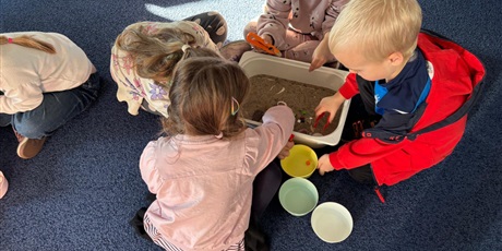 Powiększ grafikę: wycieczka-do-okm-morskie-skarby-gr-viii-muszelki-649141.jpg