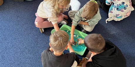 Powiększ grafikę: wycieczka-do-okm-morskie-skarby-gr-viii-muszelki-649142.jpg